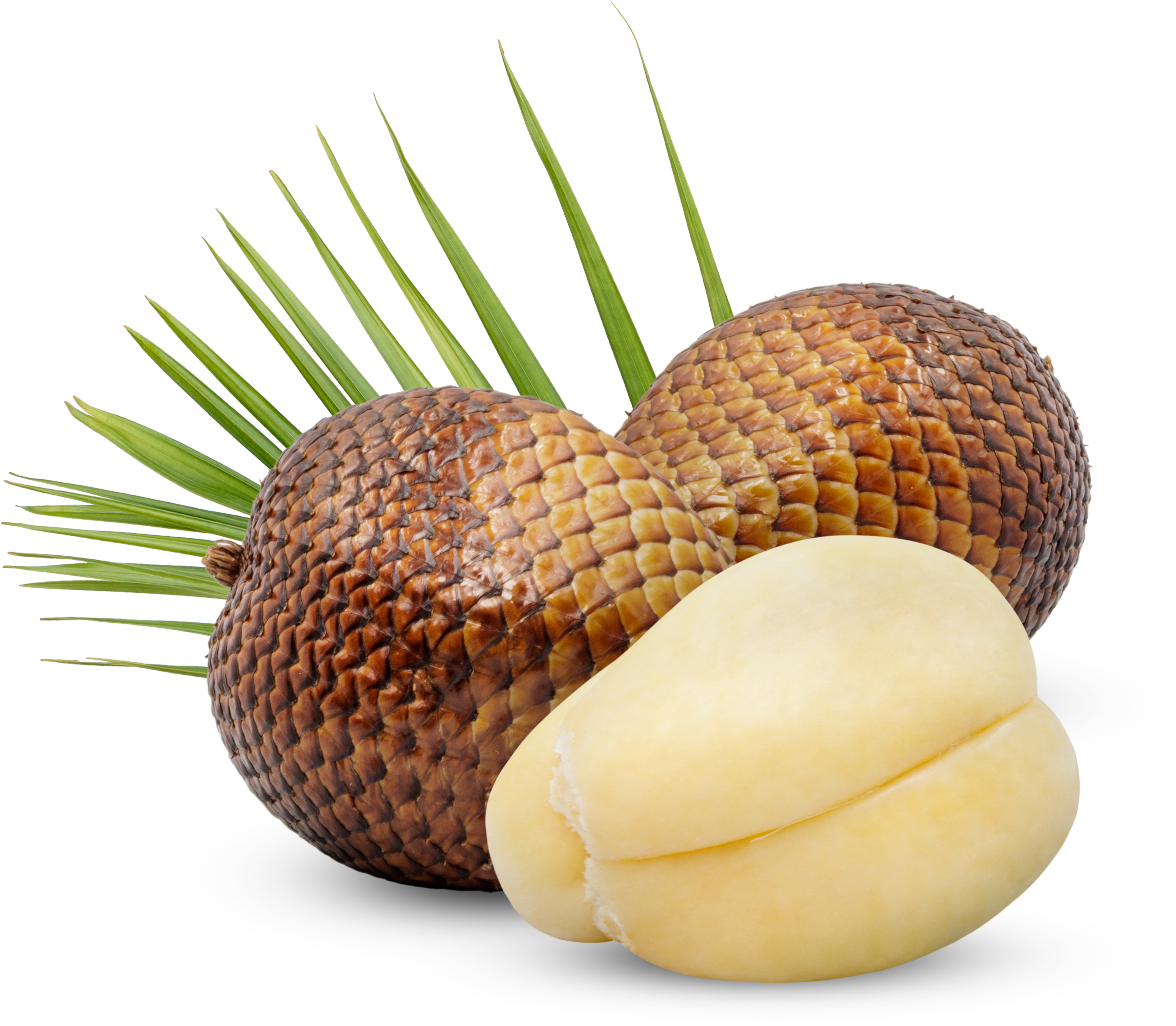 Golden Salak