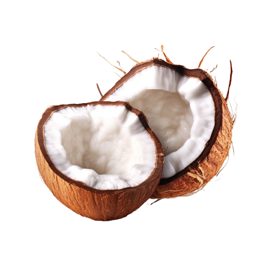 Kopyor Coconut